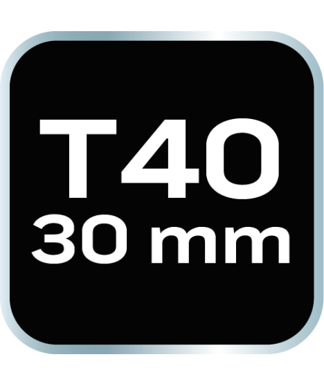 Końcówka TORX T40 x 30 mm, S2 x 2 szt.