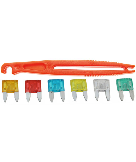 Zestaw bezpieczniki samochodowe 5A-30A 120 EL. + chwytak