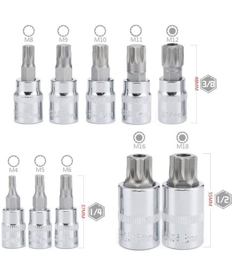 Zestaw nasadek spline 1/4 3/8 1/2 M4-M18 XZN 10 szt.
