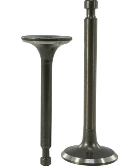 ZAWÓR SILNIKA 5,5HP