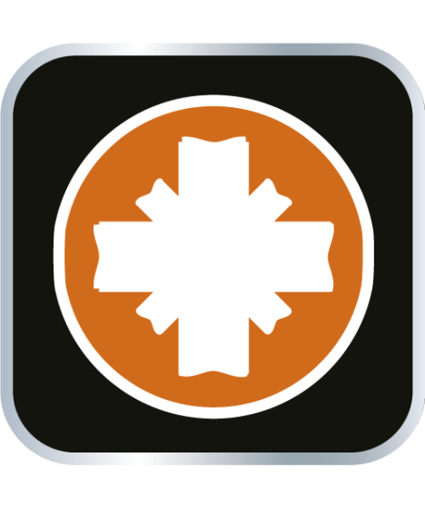 Wkrętak krzyżowy PZ1 x 100 mm, S2