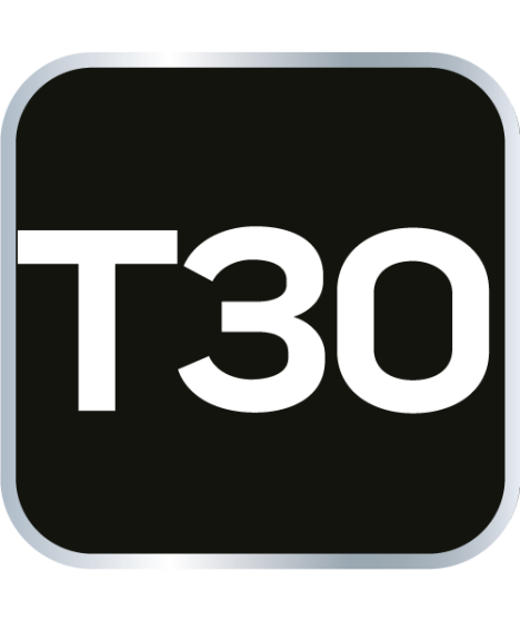 Wkrętak Torx T30 x 100 mm, S2