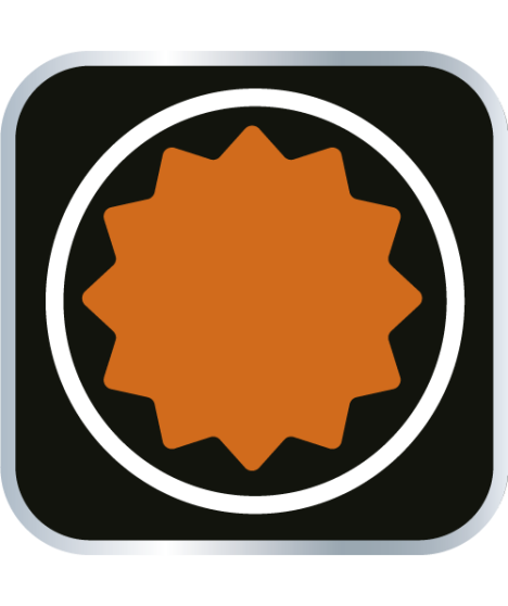 Końcówka Spline na nasadce 1/2", M12 x 100 mm